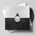 Cuibul - Break the Branches, Break the Sticks! LP-Copy