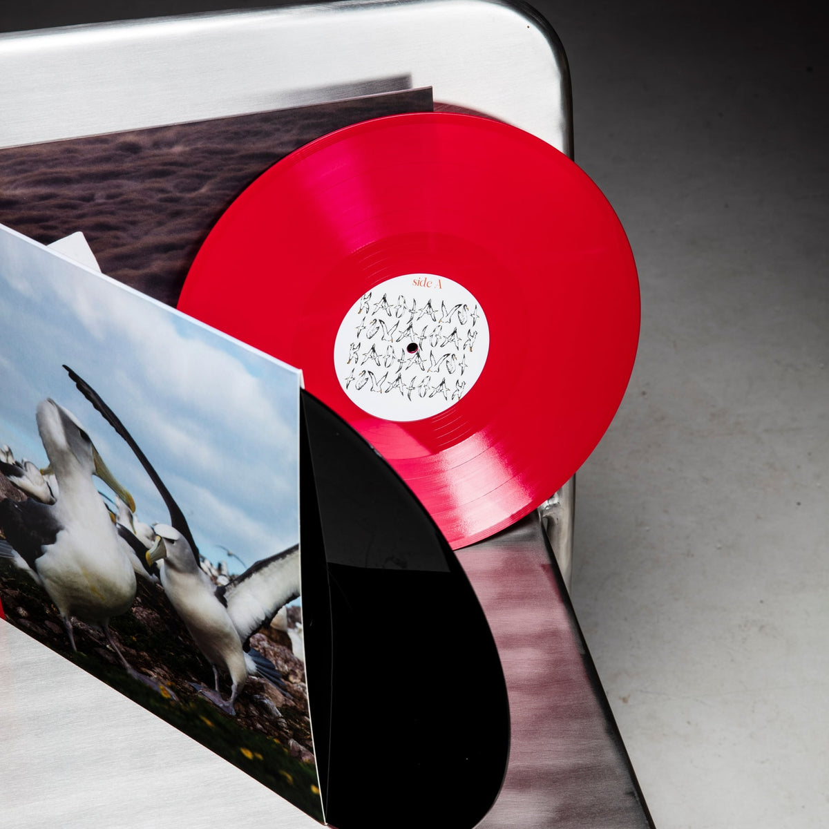 Kadjavsi – Above Albatross 2xLP, Disc 1 Solid Fuchsia