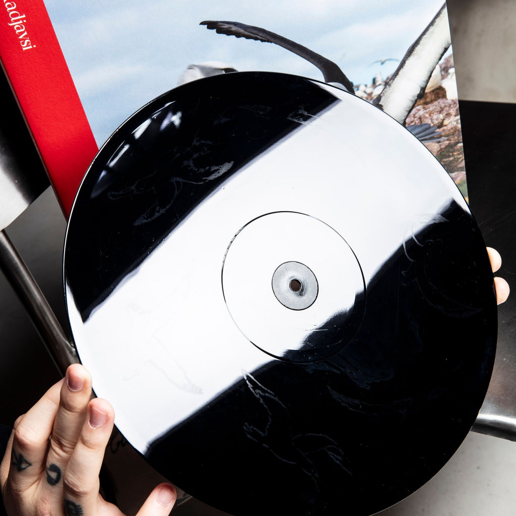 Kadjavsi – Above Albatross 2xLP, fața D gravată