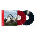 Kadjavsi – Above Albatross 2xLP, Disc 1 Solid Fuchsia, Disc 2 negru