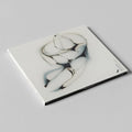 Melting Dice - Cord Cablu Creier (CD)